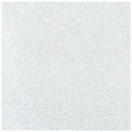 Foam