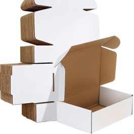 White Deluxe Literature Mailer Box 